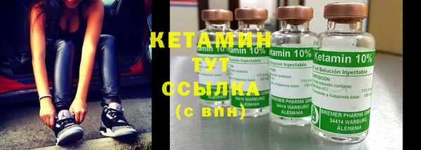 ПСИЛОЦИБИНОВЫЕ ГРИБЫ Бородино