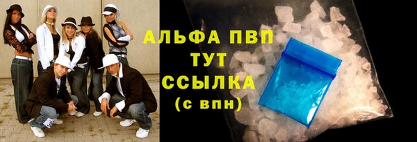 ПСИЛОЦИБИНОВЫЕ ГРИБЫ Бородино