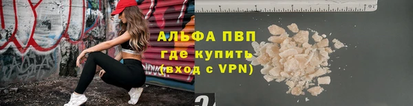 ПСИЛОЦИБИНОВЫЕ ГРИБЫ Бородино