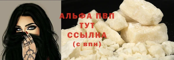 ПСИЛОЦИБИНОВЫЕ ГРИБЫ Бородино