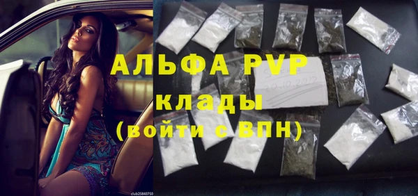 ПСИЛОЦИБИНОВЫЕ ГРИБЫ Бородино