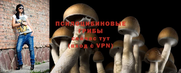 герыч Бронницы