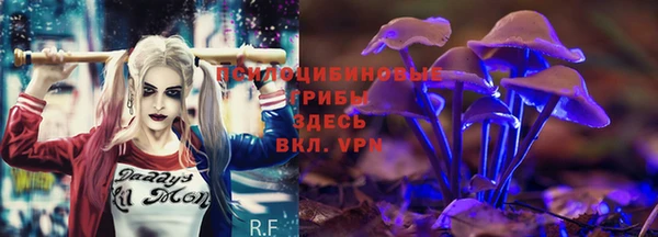 герыч Бронницы