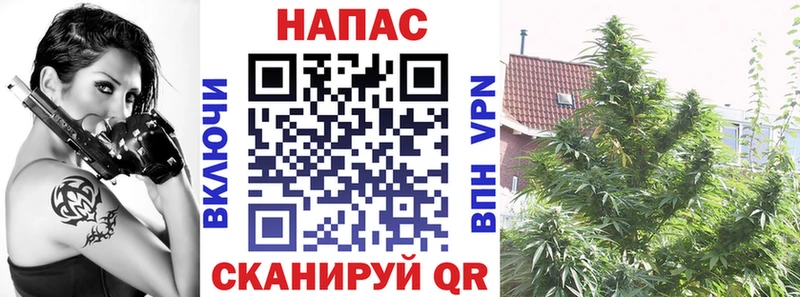 Каннабис марихуана  Новотроицк 